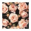 'Special Friend' Patio Rose - 5.5L Pot