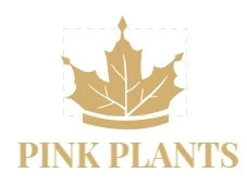 Pink Plants Shop